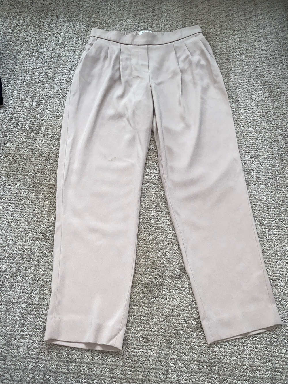 Aritzia Babaton Tailored Pleat-Front Pants in Light Beige